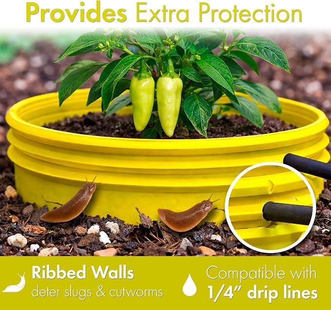 7 inch Solid Planting Grow Rings | 6 Pack Yellow | One-Piece Design for Deep Root Watering Veggies, Herbs & Flowers | Mulch & Soil Barrier | Deter Slugs and Cutworms | Heavy Duty | Made in USA