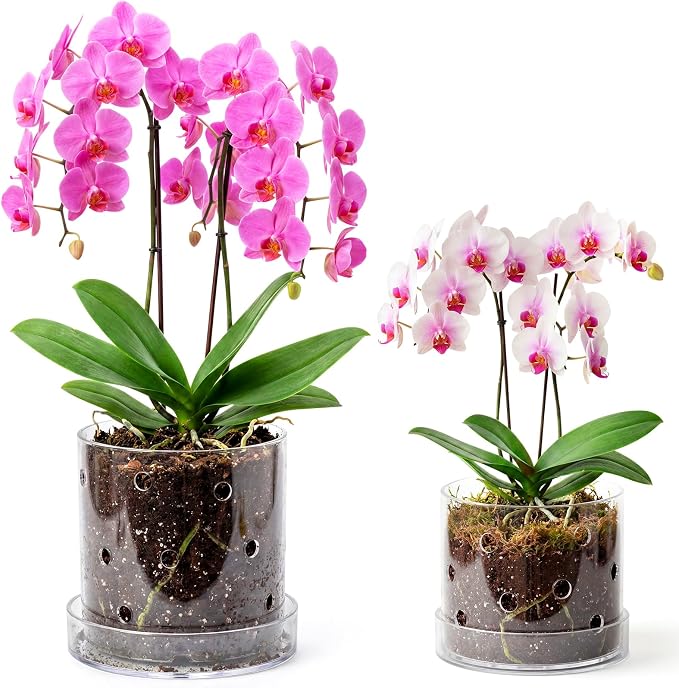 6 Inch 7 Inch Clear Acrylic Orchid Planter Pot with 360° Round Holes & Tray, Thick Acrylic Vented Planter for Phalaenopsis, Root Airflow, Bottom Watering & Indoor Orchid Repotting