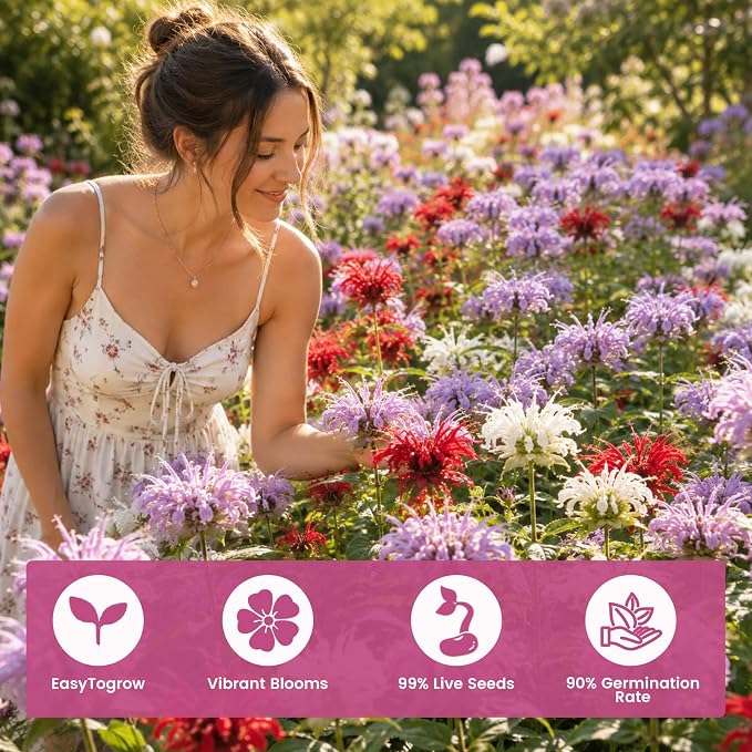 4000+ Bee Balm Seeds for Planting, Color Mix Native Wildflower Seeds, Heirloom & Open Pollinated Perennial Flower Seeds to Plant Outside Flower Herb Garden