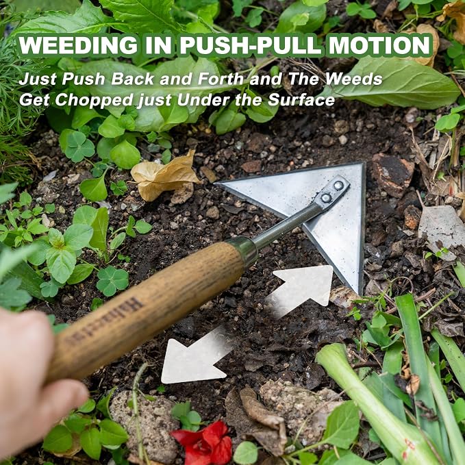 Haliaeetus Triangle Head Hoe, 15'' Scuffle Hoe for Weeding Precisely in Raised Bed, Stainless Steel Rogue Hoe for Weeding in Push-Pull Motion, Push Pull Hoe with Compact Size for Weeding Between Plant