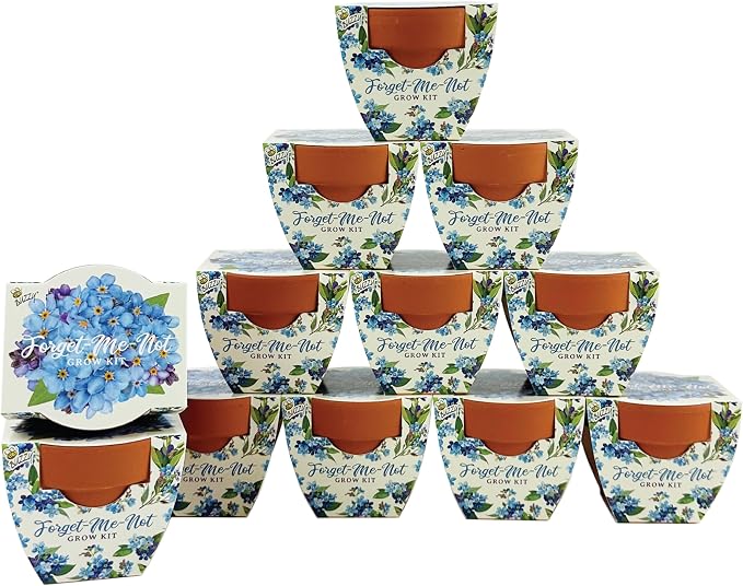 BUZZY Seeds Daydream Collection Mini Terracotta Grow Kit 12-Pack - Mini Terracotta Pot Grow Set - 100% Grow Guarantee