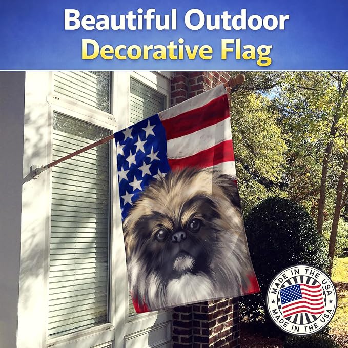 Caroline's Treasures CK6488CHF Chinese Imperial Dog American Flag House Flag Large Porch Sleeve Pole Decorative Outside Yard Banner Artwork Wall Hanging, Polyester, House Size, Multicolor