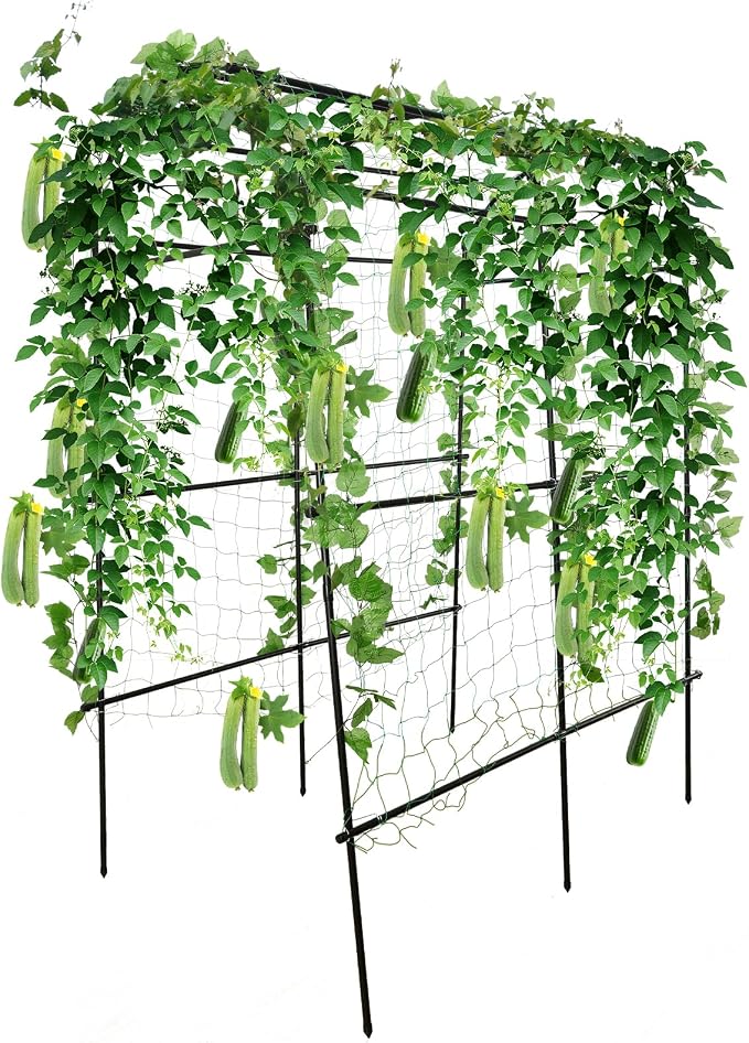 PKBD Tall Garden Arch Trellis for Climbing Plants Outdoor, 7.5 ft Tall Polyethylene-Coated Stainless Steel Garden Arch for Climbing Vine Vegetable/Fruit/Flower, Cucumber Trellis for Raised Bed, Black