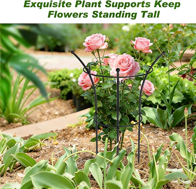 4 Pack Peony Cages and Supports, 12.5" Dx24 H Plant Supports for Outdoor Plants, Double-Ring Metal Peony Support Cage, Natural Bouquet Shape Plant Support Rings for Rose Tomato Hydrangea Strawberry
