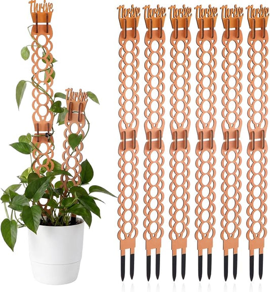 6 Sets Wooden Extendable Plants Trellis Indoor Modular Plant Trellis with Wood Thrive Sign Decor and Extensions for Outdoor Climbing Houseplants Vine Flower Stem (Ring)