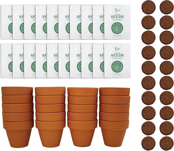 BUZZY Seeds Forget-Me-Not Grow Kit, Bulk 20-Pack - Mini Terracotta Pot Grow Set - Complete Indoor/Outdoor Gardening Kit with Seeds, Coconut Husk Growing Medium & Genuine Pots - 100% Grow Guarantee