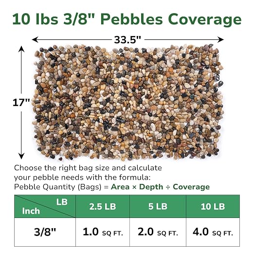 GreatBuddy 10-lb Pebbles for Indoor Plants, 3/8" Pea Gravel for Vases, Small Rocks for Succulents, Fish Tanks, Aquariums, Terrarium, Drainage Pebbles for Potted Plants, River Rocks for Landscaping