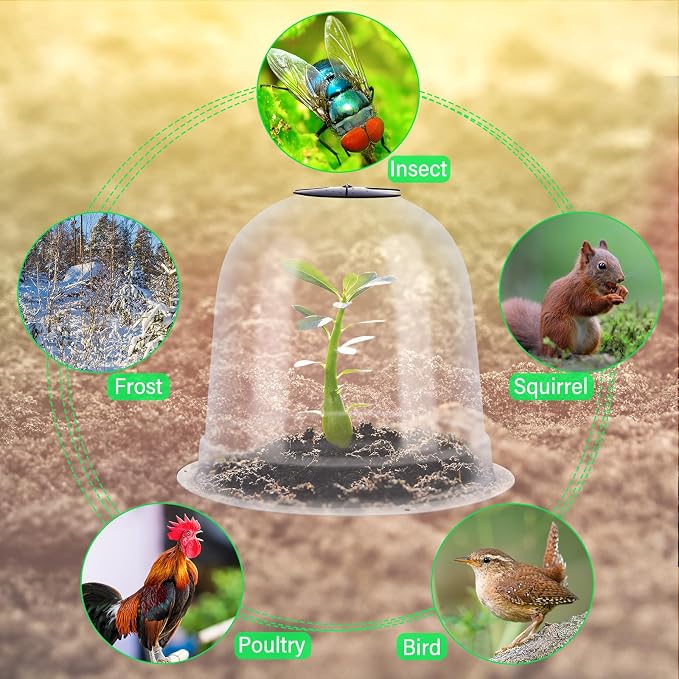 Zopeal 30 Pcs Plant Cloche Garden Plastic Humidity Dome Cover Small 7.68'' Dia x 6.7'' H Reusable Thick Protector Bell Clear Mini Greenhouses with 80 Securing Pegs for Outdoor Seed Frost Protection