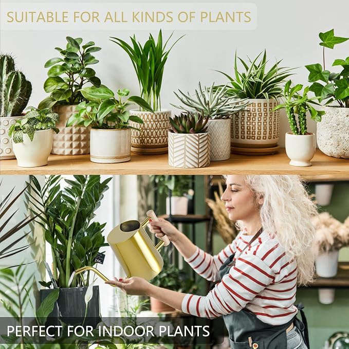 Watering Can Indoor Plants, 35oz Small Stainless Steel Metal Watering Can Modern Decorative Watering Pot with Long Spout for Indoor House Plant Bonsai Garden Flowers (Gold)