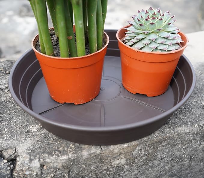 Plant Saucer 8 Inch 4 Pack 6 8 10 12 14 16 18 20 25, Plastic Plant Trays for Pots，Extra-Deep Plant Water Dray Tray, Bird Bath Bowl, Heavy Flower Plant saucers Indoors and Outdoor No Holes 8in-4 brown