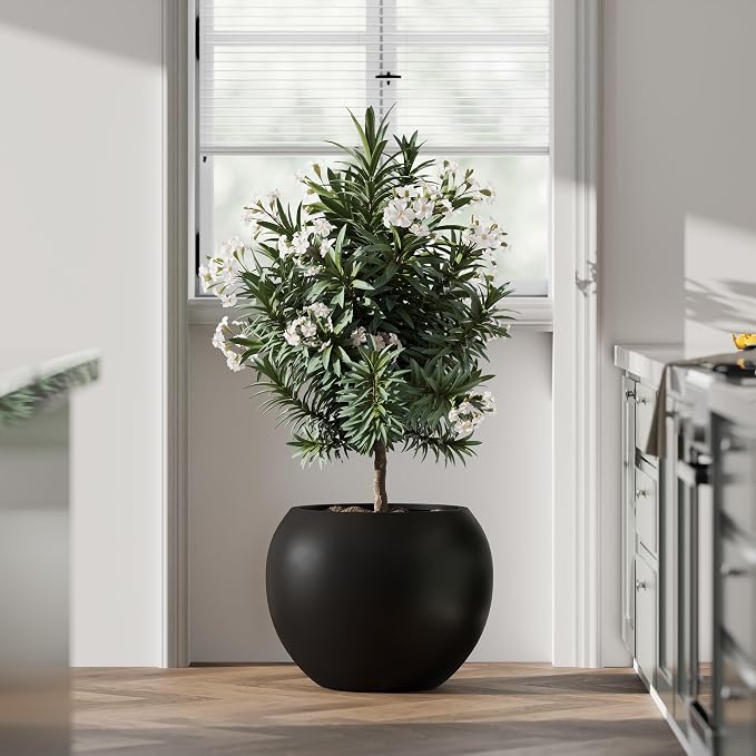 DTY Premium Mt Sherman Fiberstone Sphere Planter for Indoor Outdoor Use, Round Pot for Olive Tree, Lightweight, Smooth Finishes. 2 Extra Coco Mats. Black, Large 21.1'' D x 16.7'' H. 14.6” Pot Opening