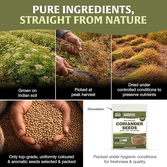 HANDPICK Whole Coriander Seed (283g/10oz) Premium Grade | Pure & Flavorful Coriander Seeds - Indian Origin | Non GMO, Gluten Free | Perfect for Cooking & Seasoning | Resealable (Packaging may vary)