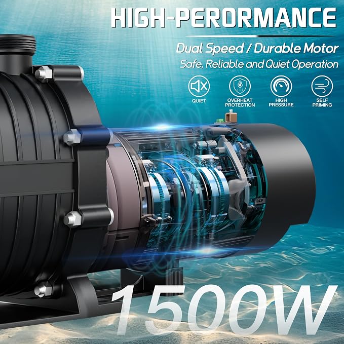 LANCHEZ In/Above Ground Pool Pump, High Flow Self Primming Swimming Pool Pumps Above Ground, Charcoal black