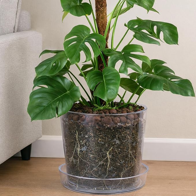 Phoenix Vine 10 Inch 12 Inch Clear Acrylic Houseplants Planter Pot with Tray, Orchid Pot with Drainage Holes, Deep Saucer for Bottom Watering, Transparent Containers for Indoor Plants, Herbs, 91-B-Z