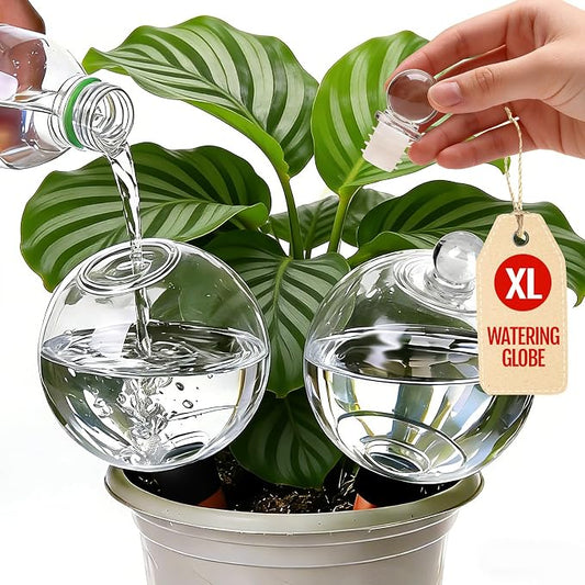 ZephyrBloom 19 Oz Large Plant Watering Globes & Self Watering Bulbs, Water Globes for Indoor Outdoor House Plants, Reliable Plant Water Feeders for Watering Plants While Away On Vacation 2‑Pack