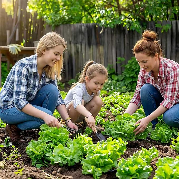 LUOJIBIE Lettuce Seeds for Planting Outdoors, Vegetable Garden Seeds, 8 Varieties Non-GMO Heirloom Lettuce Seeds (Romaine, Red Leaf, Italian, Batavian, and More) for Fresh Salad Greens (Large Pack)