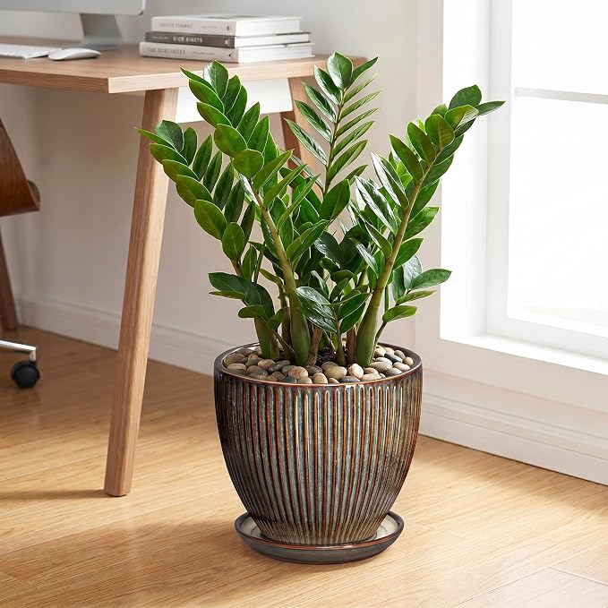 Ceramic Pots for Plants, 10 Inch Planters for Indoor Plants, Decorative Planter with Drainage Hole and Saucer, Round Indoor Plant Pots, Modern Planter, House Decor, Women Men Gifts, Retro Brown