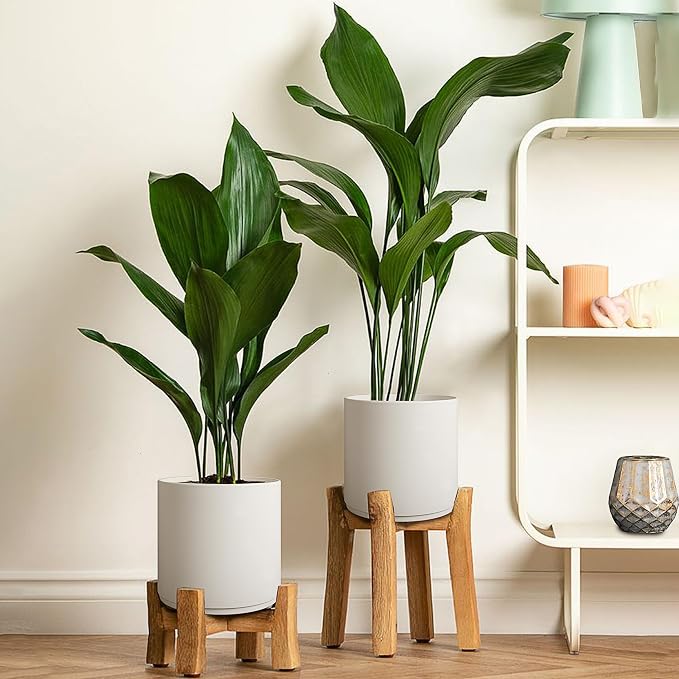 Giraffe Creation 12 Inch Cylinder Plant Pot, Modern Round Planter with Drainage Holes and Saucer, Durable Plastic Flower Pot for Indoor Outdoor Plants, White