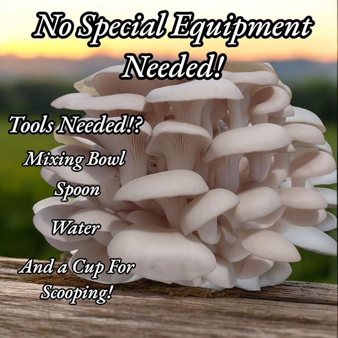 Four All in One Mushroom Grow Kits with Yellow, Blue, Florida, and Pink Oyster, Complete Cultivation Set