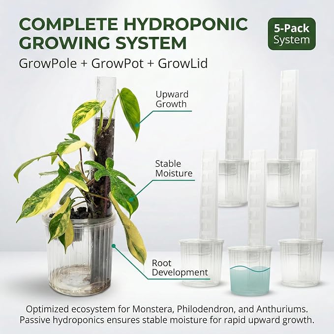 THICCLY Medium GrowLid 5 Pcs (Royal Blue) - Self Watering Clear D-Shaped Plastic Moss Pole Hydroponics Growing System Kratky Hydroponic Kit Moss Pole Monstera Plant Support Philodendron and Anthuriums