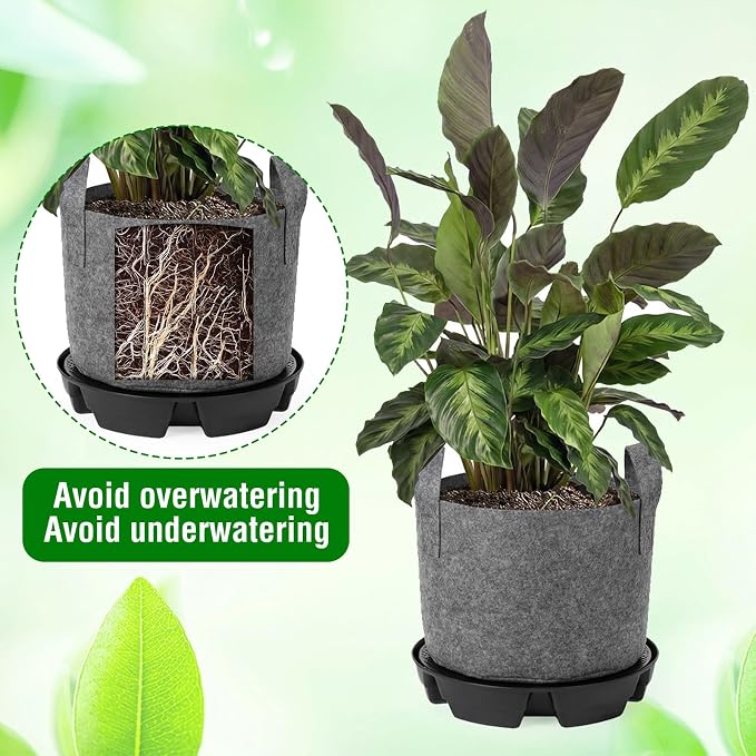 Jingmore 6 Set 3 Gallon Grow Bag Self Watering Fabric Pot Base Automatic Watering System Plant Nonwoven Grow Bag with Handle Plant Saucer Elevate Flower Tray for Garden Indoor Outdoor Greenhouse(Grey)