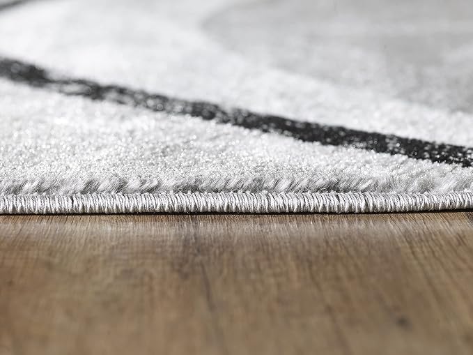 Yafa Home Fashion Modern Contemporary Swirls Design Area Rug, Luxurious, Elegant, and Fashionable Area Rug (Black/Grey, 5 ft X 7 ft)