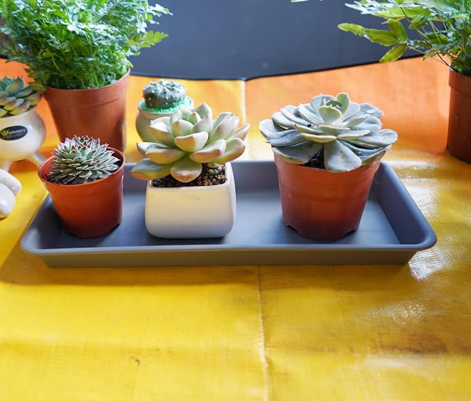 VUWEZ 6 Pack Rectangular Plastic Plant Tray Saucer, Gray, 6 x 11 Inch, Indoor/Outdoor, Durable & Water Resistant