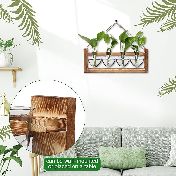 Plant Propagation Stations Heart Plant Terrarium Kit | Gift for Women Plant Lover Glass Vases