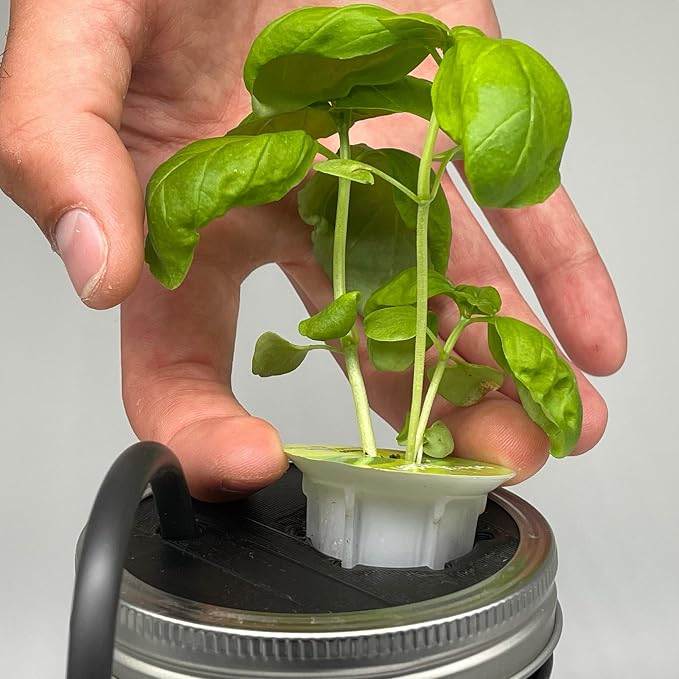 ZXYPRO® Improved Airline Kratky Lid Kit, Fits Wide-Mouth Canning Jar, Pumps Air into up to 4 Wide-Mouth Kratky Jars, Robust Pump And All Tubing And Connectors Included