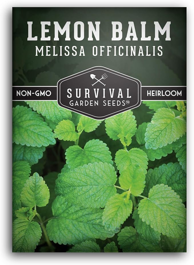 Lemon Balm Seeds for Planting - Melissa Officinalis Herb for Tea and Pollinator Gardens - Soothing Aromatic Perennial Grown Indoors or Outdoors - Heirloom, Non-GMO - Survival Garden Seeds (1 Pack)