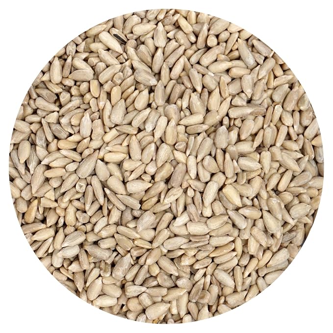 Raw Sunflower Seeds, 1 Pound Bag, Hampton Distribution