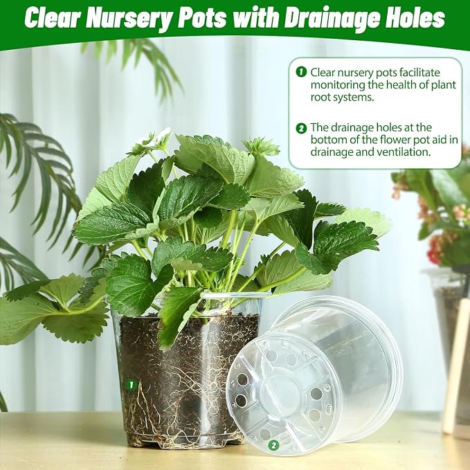 24 Pack 6/8/10 Inch Clear Nursery Pots with Drainage, Large Plastic Plant Pots for Seedlings Flowers Succulents Vegetable, Indoor Outdoor Gardening (6 810 Inch)
