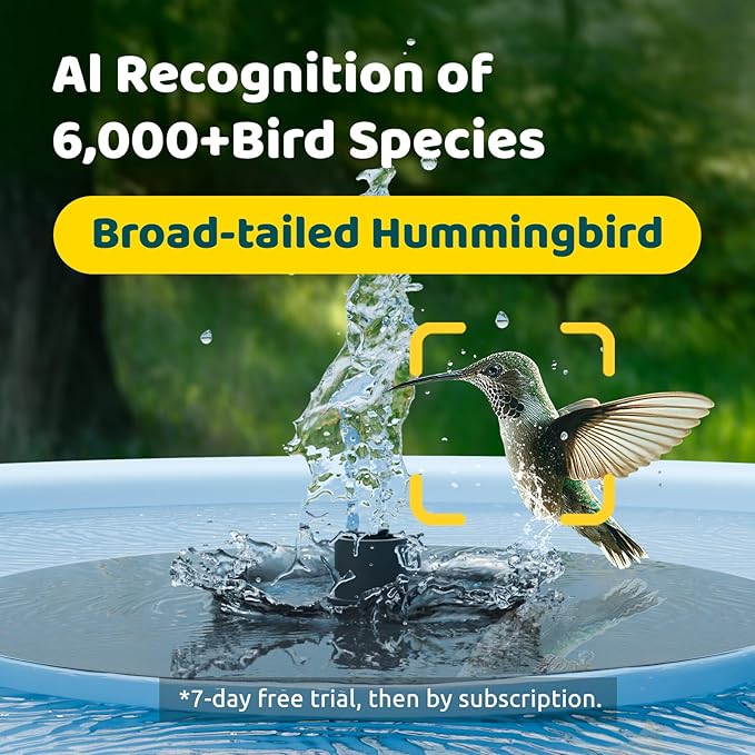 Birdfy Smart Bird Bath with Camera Solar Powered & Fountain, Dual-Lens Camera for Wildbird Watching, Auto Capture Bird Videos & Motion Detection - AI by Subscription (Blue)