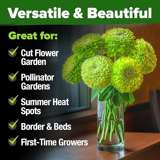 HOME GROWN Envy Zinnia Seeds (2oz) – 8,500 Rare Lime Green Annual Zinnia Flower Seeds for Planting, Fast-Growing Bulk Seed Variety, Premium Garden Companion for 2026 Bloom (Zinnia elegans)