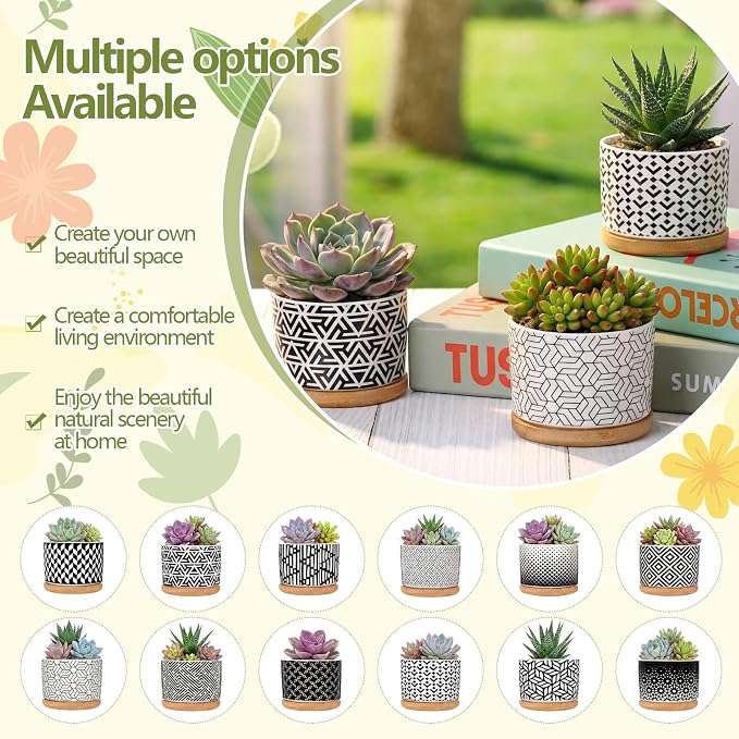 Threehoney 12 Pack 3.14 Inch Ceramic Succulent Pots Geometric Pattern Small Succulent Plant Pots with Drainage Hole and Bamboo Trays Mini Flower Cylinder Pot for Small Plant Cactus Home Office Decor