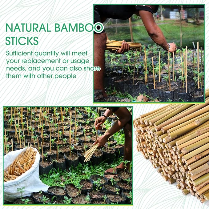 Suclain 200 Pcs Bamboo Plant Stakes Natural Garden Support Sticks for Climbing Plants Sturdy Bamboo Garden Stakes for Tomato, Beans, Flowers and Potted Plants, Vegetables, Indoor & Outdoor (1 ft)