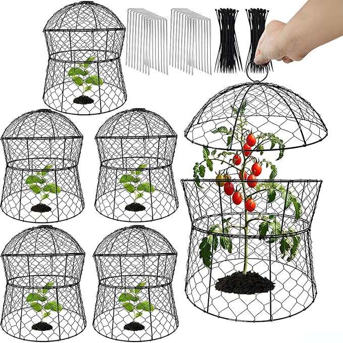 Garden Cloches for Plants 6 Pack Metal Plant Protectors from Animals Chicken Wire Cloche Updated Plant Cages for Outdoor Plants Vegetables Seedlings 13" D x 14" H