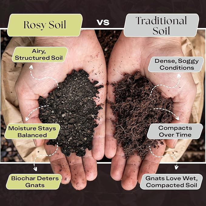 Rosy Soil Aroid Soil Mix, Chunky Biochar Potting Mix, 4 Quarts | For Monstera, Philodendron, Anthurium & Tropical Plants - Peat-Free, Microbially Active, Superior Aeration & Drainage