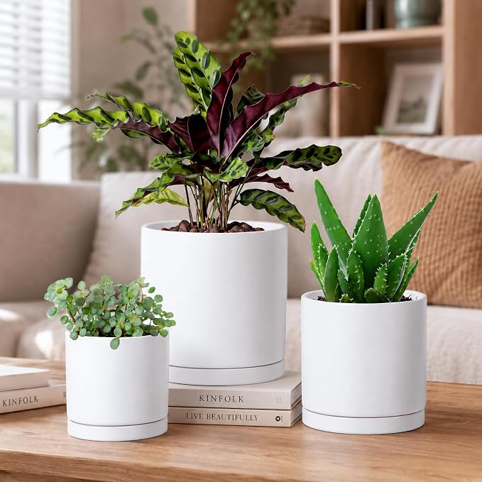 D'vine Dev White Terracotta Pots for Plants, 4.2 Inch 5.3 Inch 6.5 Inch, Succulent Planter Pot with Drainage and Saucer, 40-T-A-1