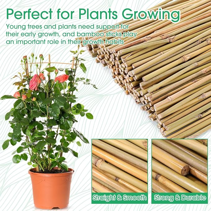 Suclain 200 Pcs Bamboo Plant Stakes Natural Garden Support Sticks for Climbing Plants Sturdy Bamboo Garden Stakes for Tomato, Beans, Flowers and Potted Plants, Vegetables, Indoor & Outdoor (1 ft)