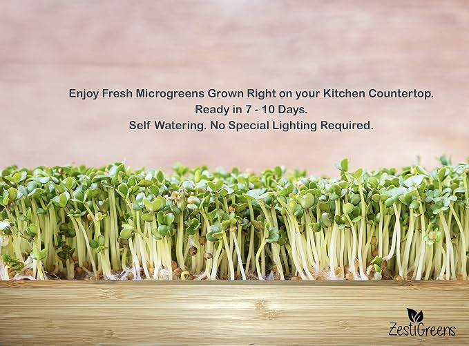 Microgreens Kit Refills with 9 Plant Mats & 9 Types of Seeds for ZestIGreens Microgreens Starter Kit