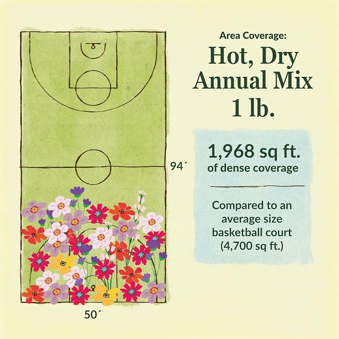 Ferry-Morse Wildflower Seeds - Hot, Dry Annual, Non-GMO, Cut Flower Mix, Full Sun - 1 lb