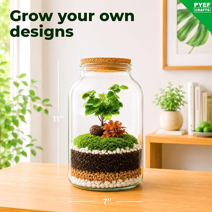 Terrarium Kit for Plants DIY (1 Gallon) | Starter Pack – Closed Ecosystem – 1 Gal Glass – Succulents, Air Plants, Bonsai, Indoor Plants – (Plants Not Included)
