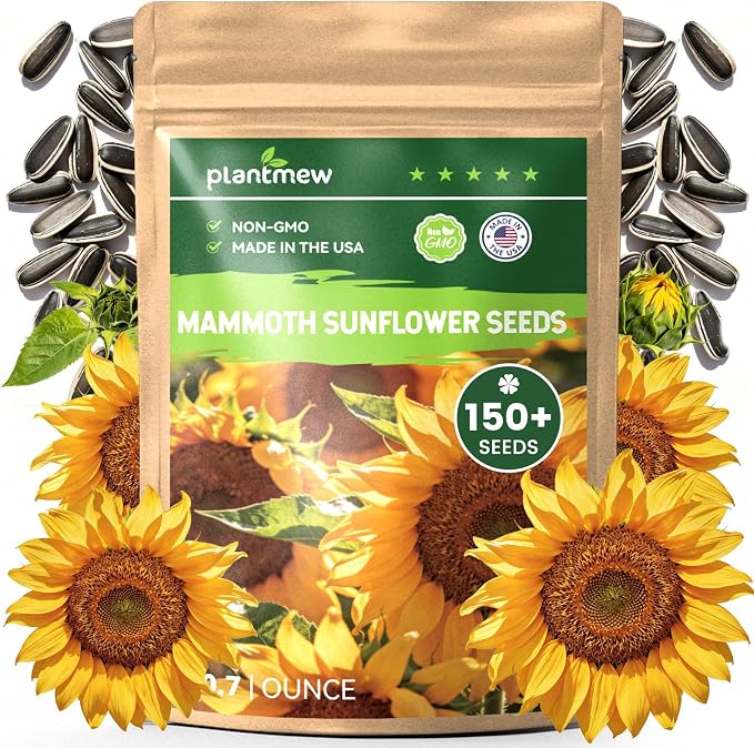 150+ Sunflower Seeds for Planting – Giant Mammoth Sunflower Seeds, Extra Tall Large Blooms, Open Pollinated, Easy to Grow Flower Seeds for Garden, Outdoor Planting & Landscaping 0.7 Oz
