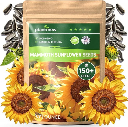 150+ Sunflower Seeds for Planting – Giant Mammoth Sunflower Seeds, Extra Tall Large Blooms, Open Pollinated, Easy to Grow Flower Seeds for Garden, Outdoor Planting & Landscaping 0.7 Oz