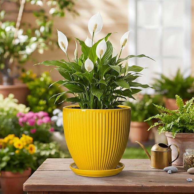 6 Inch Plant Pot, Ceramic Planter with Drainage Hole and Saucer, Decorative Small Plant Pots for Indoor Plants, Modern Round Flower Pot, Home Office Room Decor, House Warming Gifts, Yellow