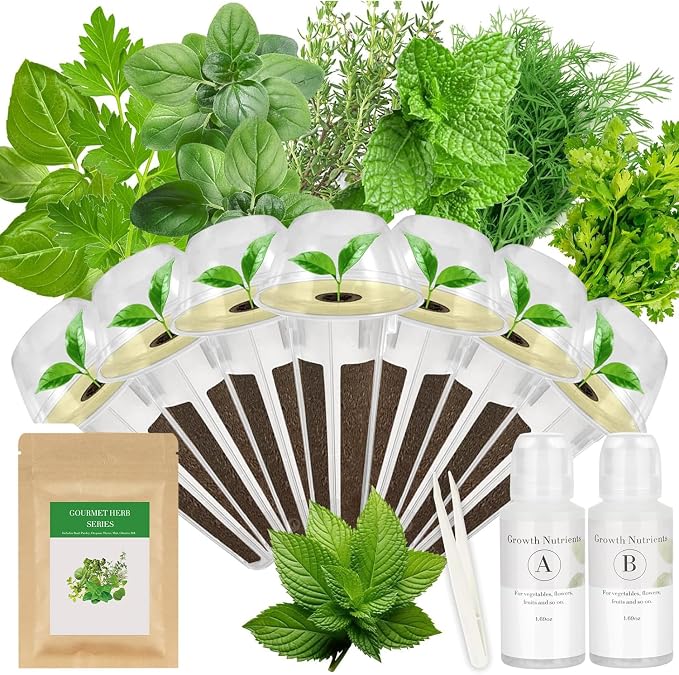 Gourmet Herb Seed Pod Kit for AeroGarden, idoo, Ahopegarden, MUFGA with Basil, Parsley, Thyme, Mint, Cilantro, Dill, Oregano - Hydroponics Supplies for Most Brand (12-pod)