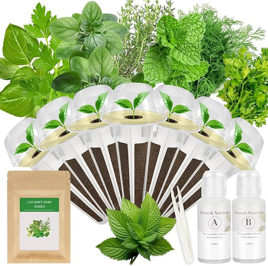 Gourmet Herb Seed Pod Kit for AeroGarden, idoo, Ahopegarden, MUFGA with Basil, Parsley, Thyme, Mint, Cilantro, Dill, Oregano - Hydroponics Supplies for Most Brand (12-pod)