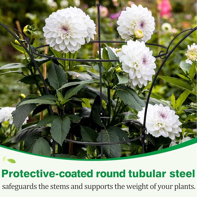 2 Pack Peony Cages and Supports Cages 13" D x 22.8" H Heavy Duty Metal Support Frame for Peonies & Roses Natural Bouquet Shape Garden Stakes for Outdoor Plants Flowers Ornamental (Black)