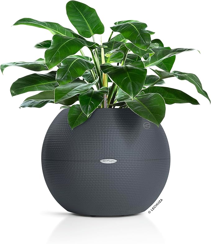 Lechuza Puro Color 50 Slate, Self-Watering Large Round Planter, D19.7 H15.4 in
